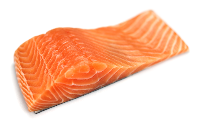 salmon